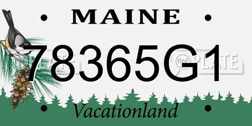 78365G1 Maine License Plate