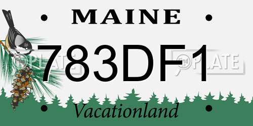 783DF1 Maine License Plate
