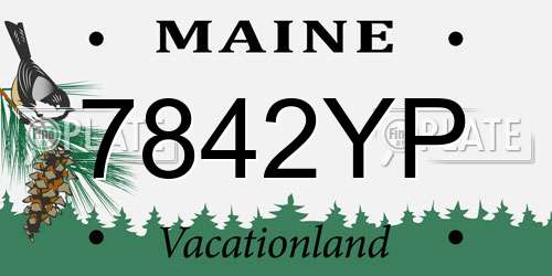 7842YP Maine License Plate