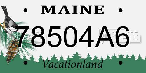 78504A6 Maine License Plate