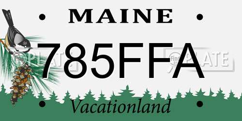 785FFA Maine License Plate