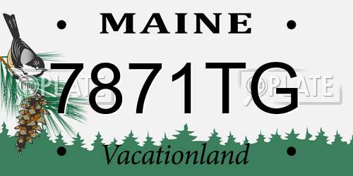 7871TG Maine License Plate