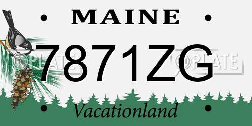 7871ZG Maine License Plate