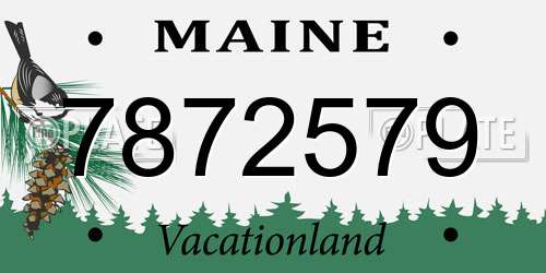 7872579 Maine License Plate