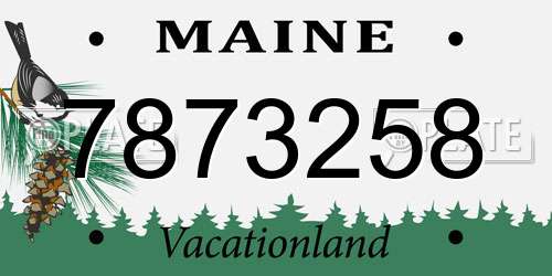 7873258 Maine License Plate