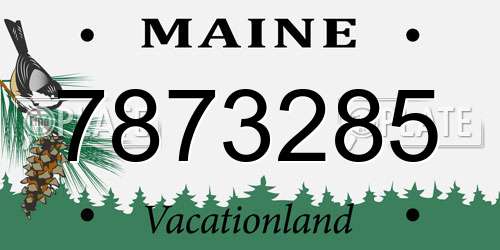 7873285 Maine License Plate