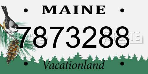 7873288 Maine License Plate