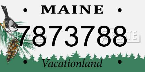 7873788 Maine License Plate