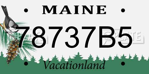 78737B5 Maine License Plate