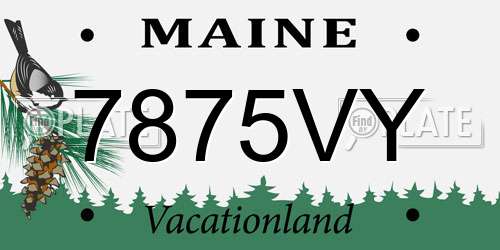 7875VY Maine License Plate
