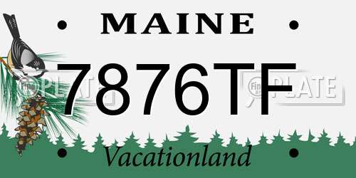 7876TF Maine License Plate