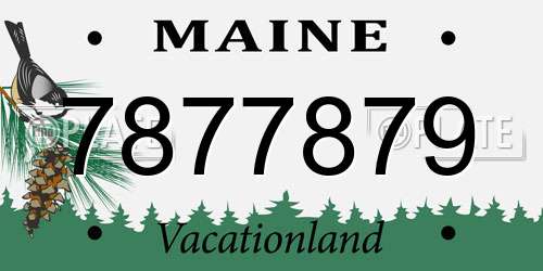 7877879 Maine License Plate