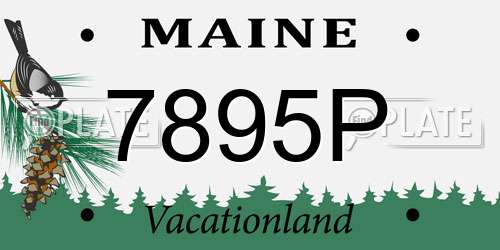 7895P Maine License Plate
