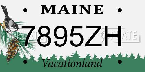 7895ZH Maine License Plate