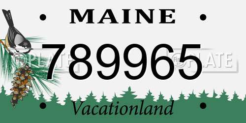 789965 Maine License Plate