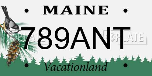 789ANT Maine License Plate