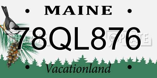 78QL876 Maine License Plate