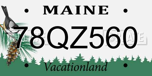 78QZ560 Maine License Plate