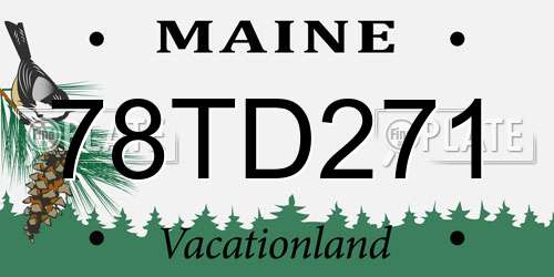 78TD271 Maine License Plate