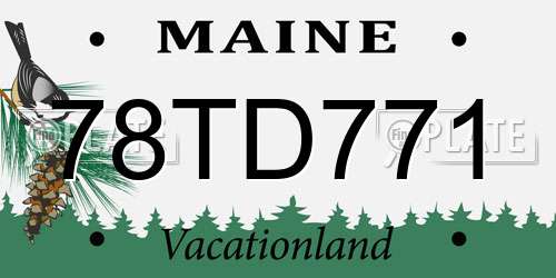 78TD771 Maine License Plate