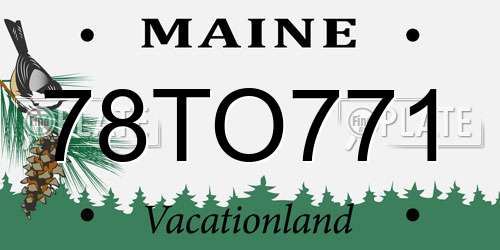 78TO771 Maine License Plate