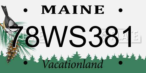 78WS381 Maine License Plate