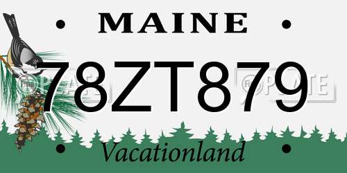 78ZT879 Maine License Plate