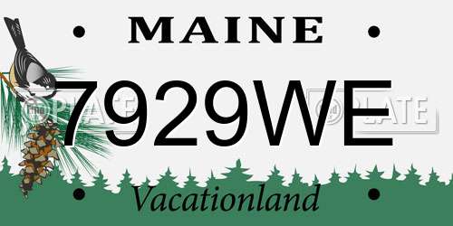 7929WE Maine License Plate