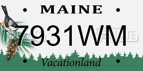 7931WM Maine License Plate