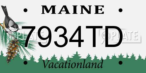 7934TD Maine License Plate