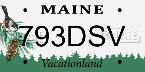 793DSV Maine License Plate