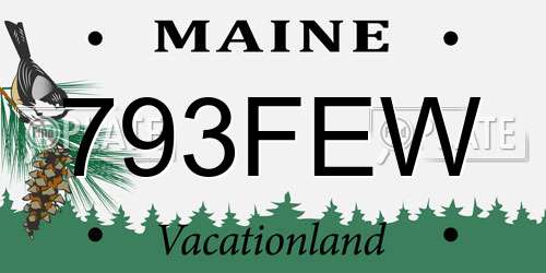 793FEW Maine License Plate