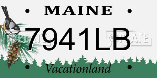 7941LB Maine License Plate
