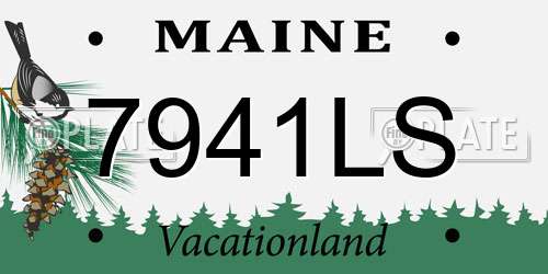 7941LS Maine License Plate