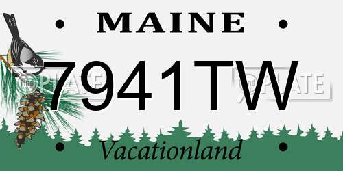7941TW Maine License Plate