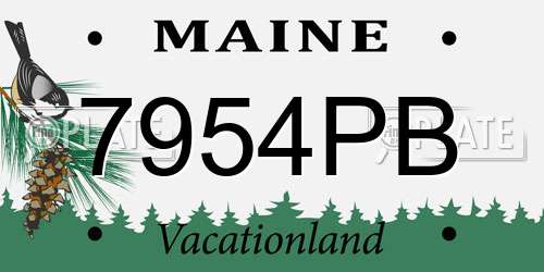 7954PB Maine License Plate