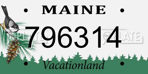 796314 Maine License Plate