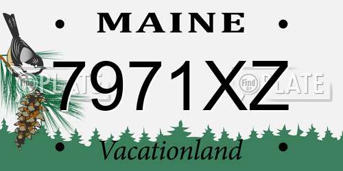 7971XZ Maine License Plate