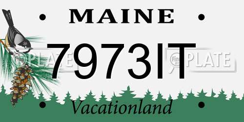 7973IT Maine License Plate
