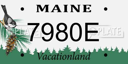 7980E Maine License Plate