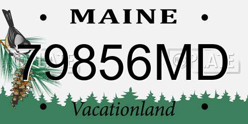 79856MD Maine License Plate