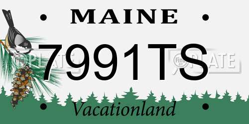 7991TS Maine License Plate