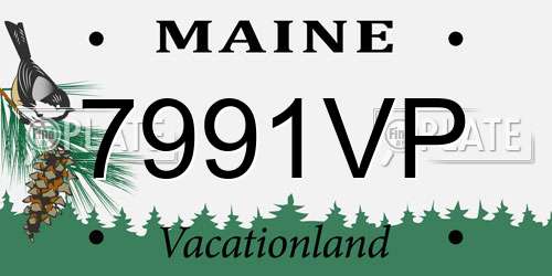 7991VP Maine License Plate