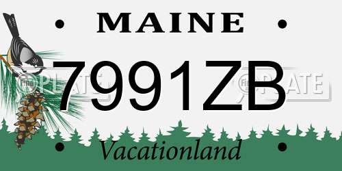 7991ZB Maine License Plate