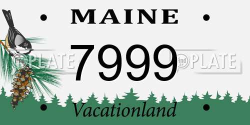 7999 Maine License Plate