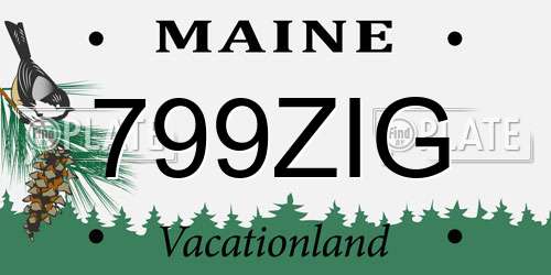 799ZIG Maine License Plate