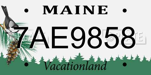 7AE9858 Maine License Plate