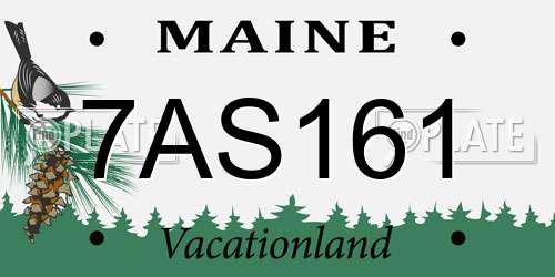 7AS161 Maine License Plate