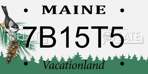7B15T5 Maine License Plate