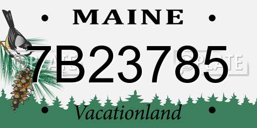 7B23785 Maine License Plate